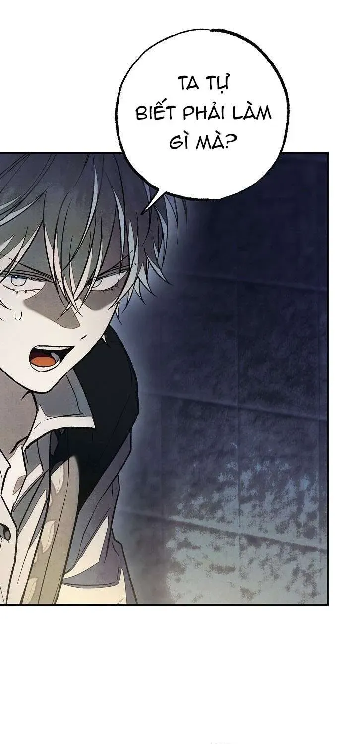 chao-mung-den-voi-dinh-thu-hoa-hong-63