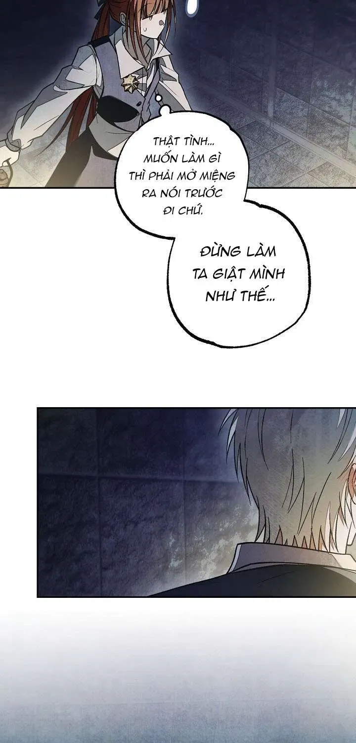 chao-mung-den-voi-dinh-thu-hoa-hong-65