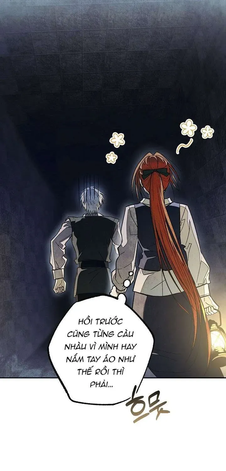 chao-mung-den-voi-dinh-thu-hoa-hong-66