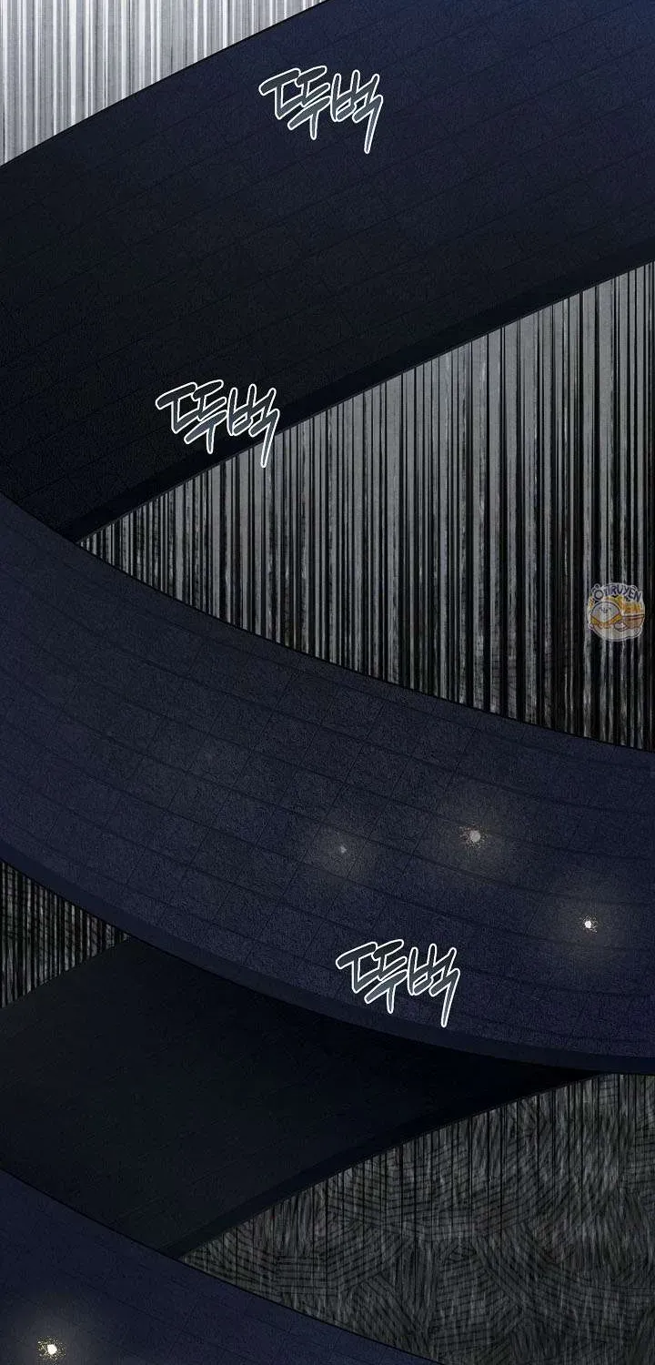 chao-mung-den-voi-dinh-thu-hoa-hong-68