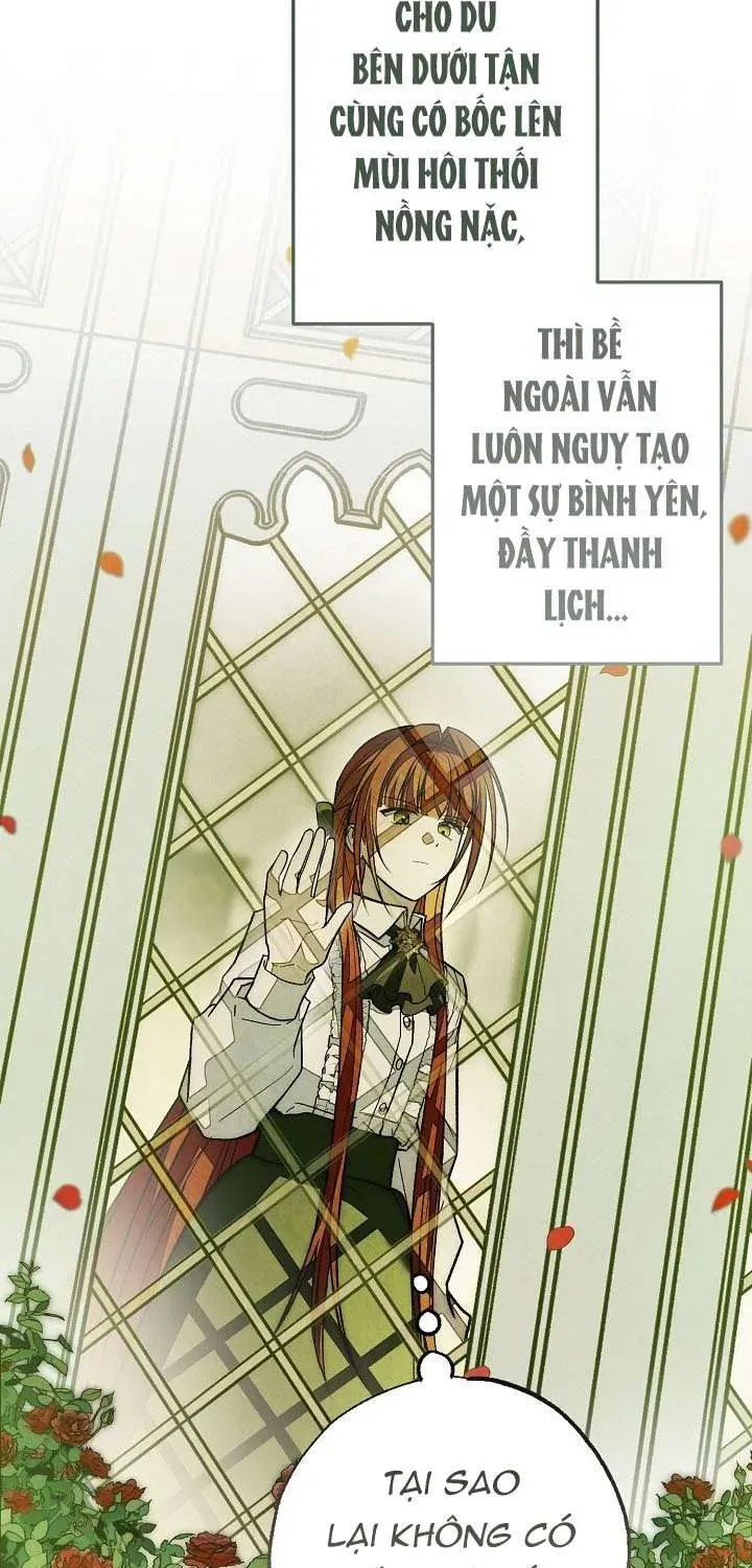 chao-mung-den-voi-dinh-thu-hoa-hong-7