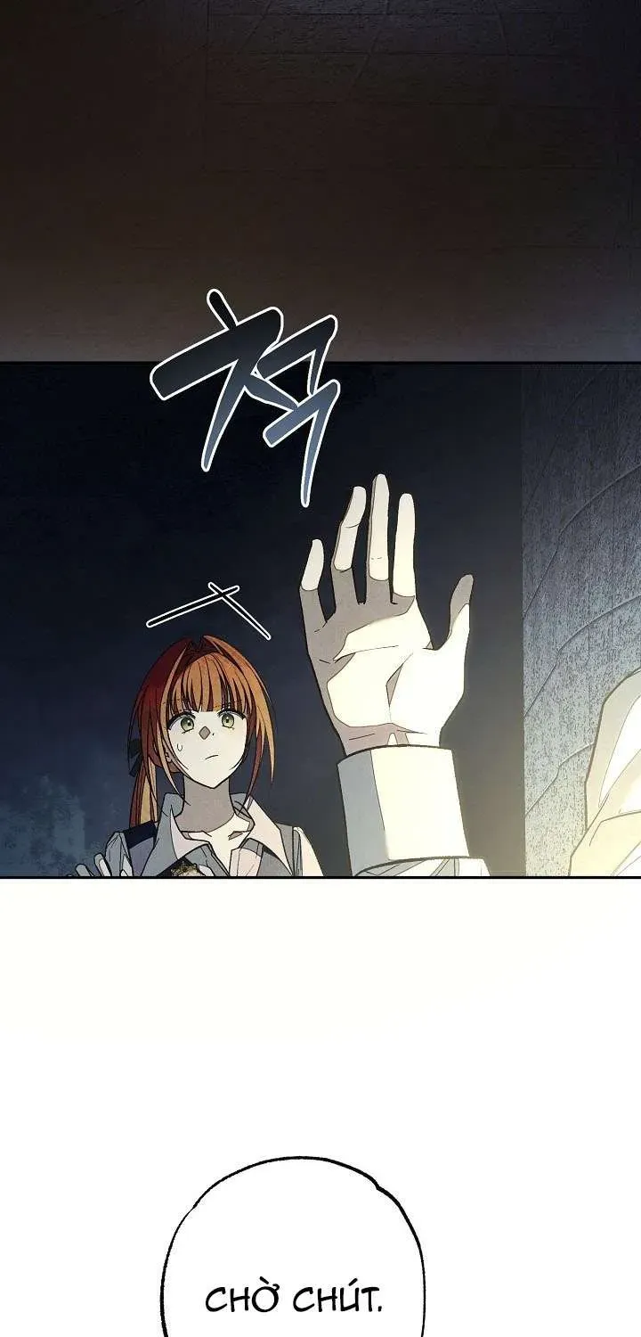 chao-mung-den-voi-dinh-thu-hoa-hong-73