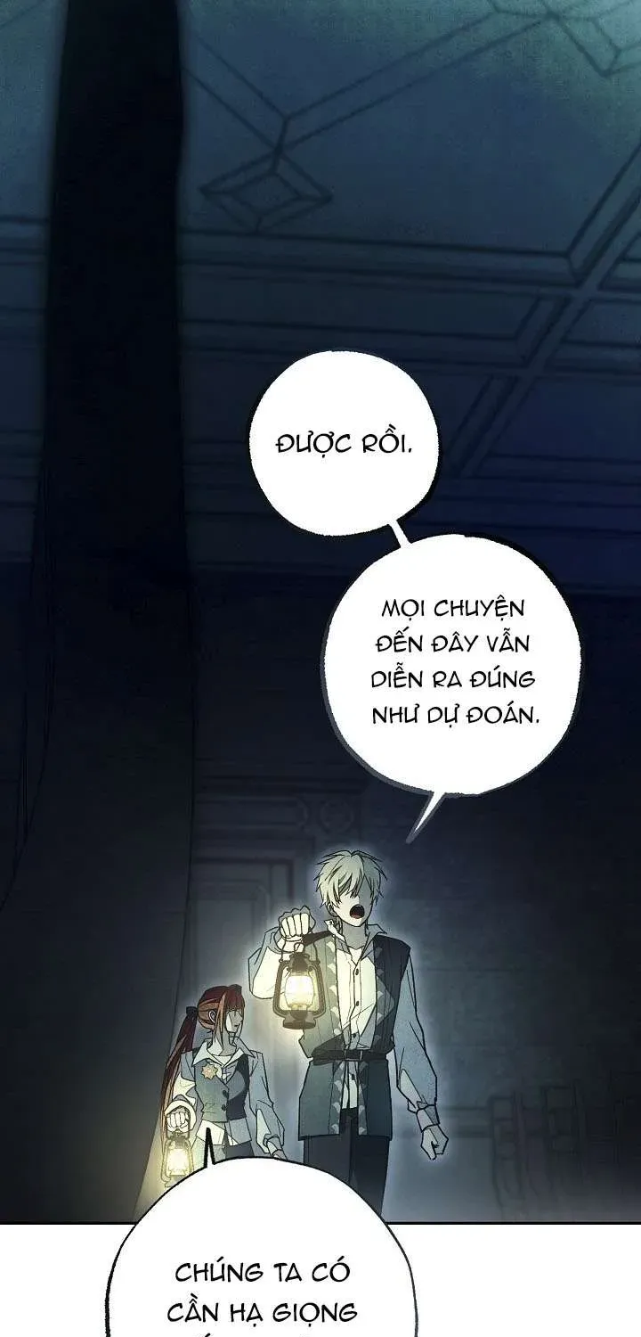 chao-mung-den-voi-dinh-thu-hoa-hong-77