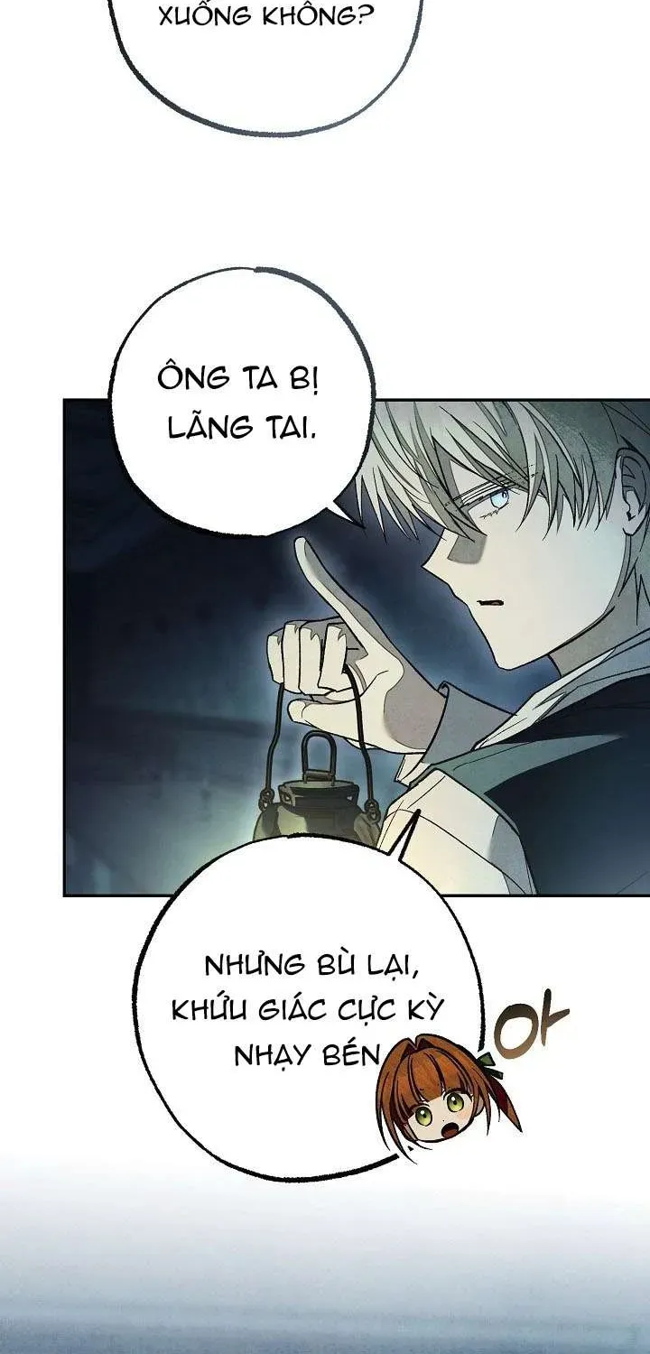 chao-mung-den-voi-dinh-thu-hoa-hong-78