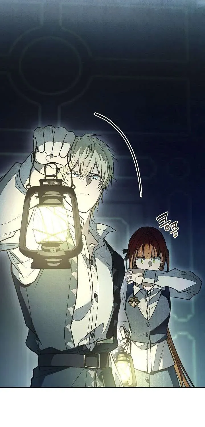 chao-mung-den-voi-dinh-thu-hoa-hong-79