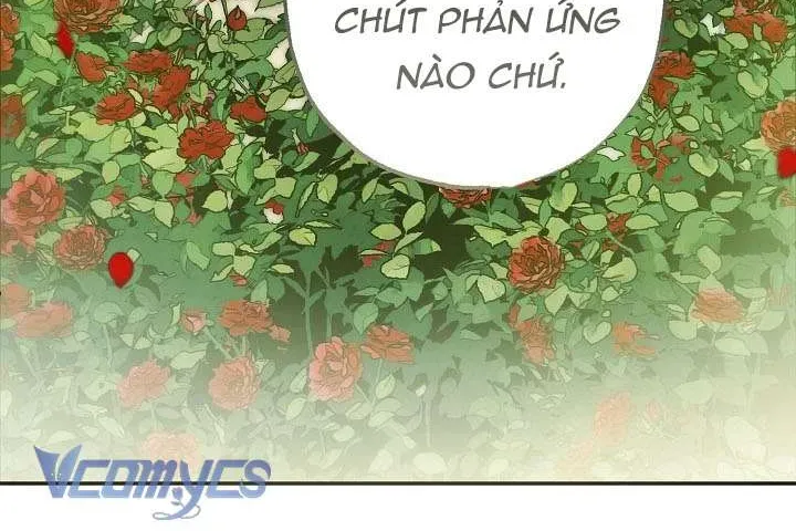 chao-mung-den-voi-dinh-thu-hoa-hong-8