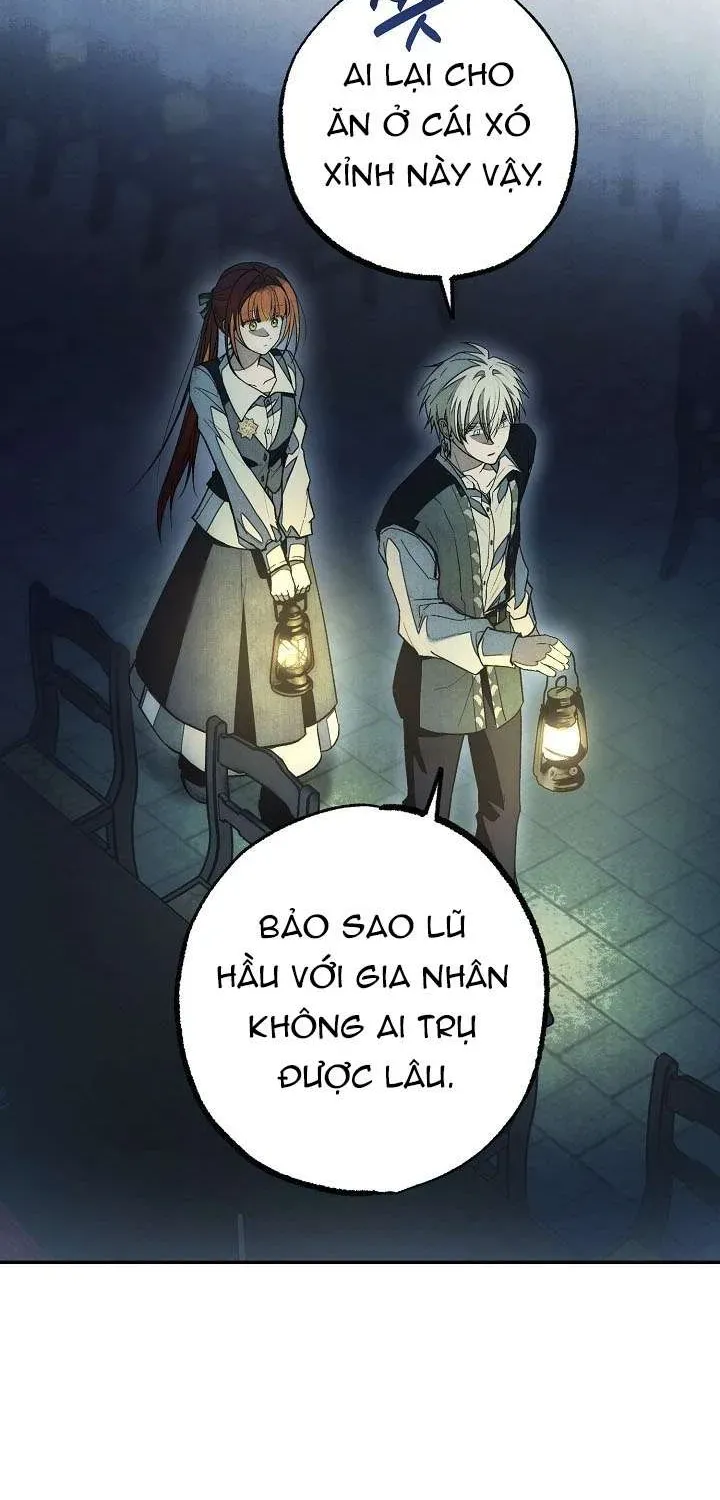 chao-mung-den-voi-dinh-thu-hoa-hong-83