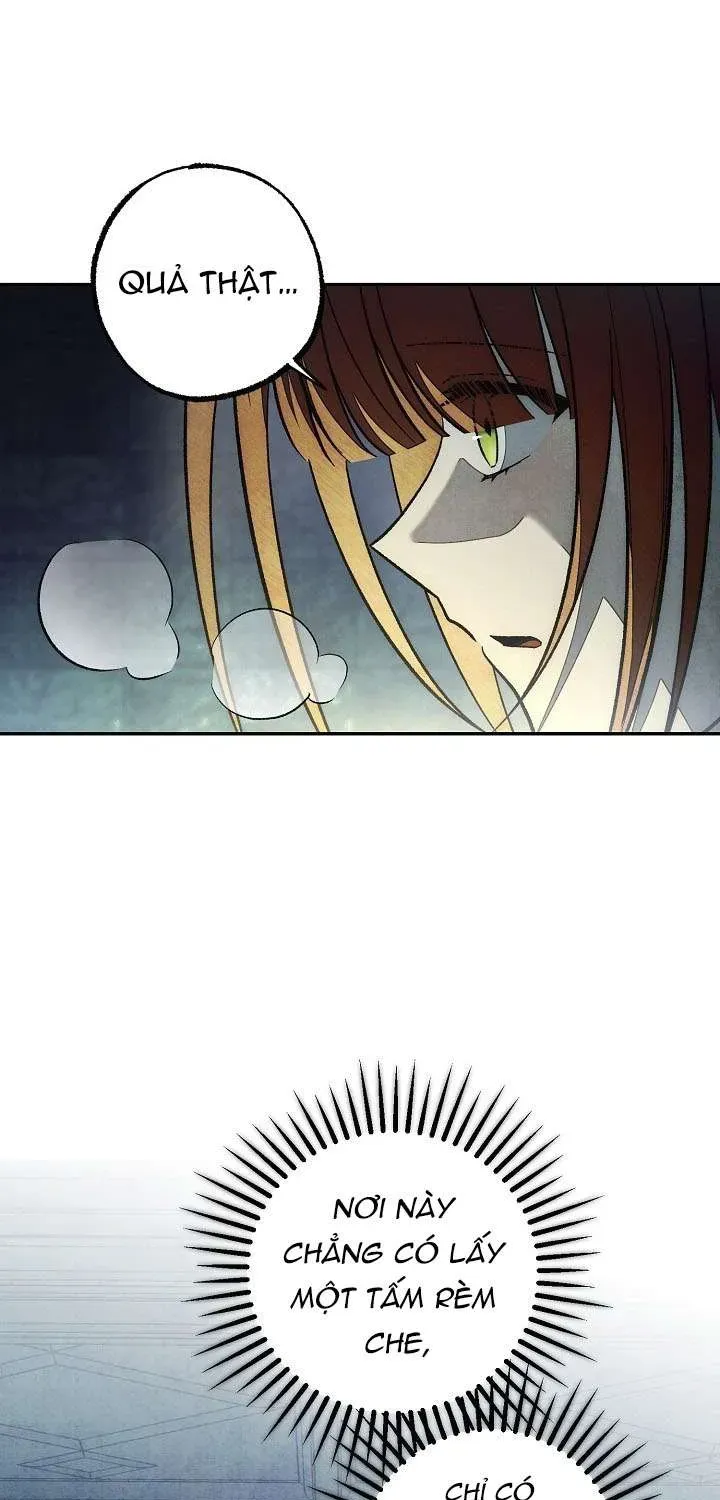 chao-mung-den-voi-dinh-thu-hoa-hong-84