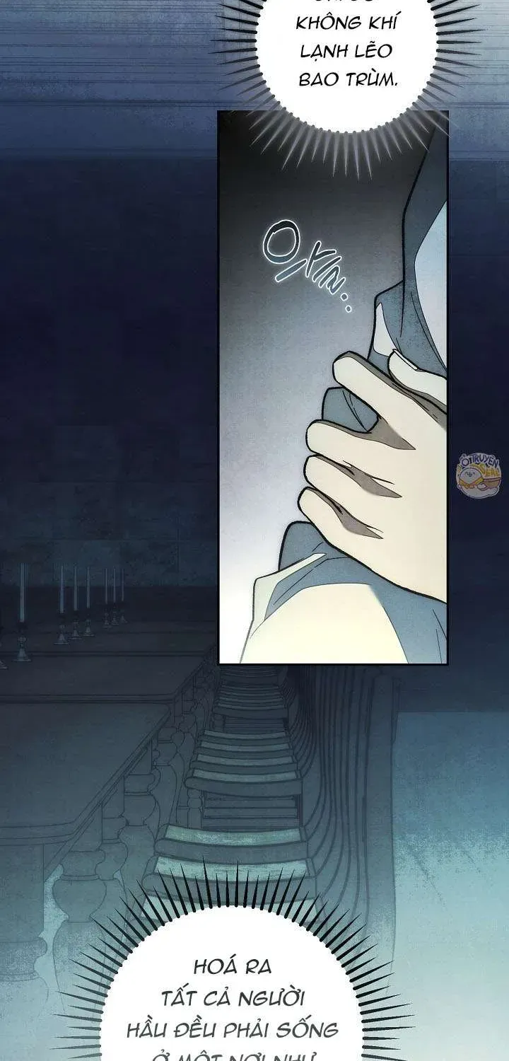 chao-mung-den-voi-dinh-thu-hoa-hong-85