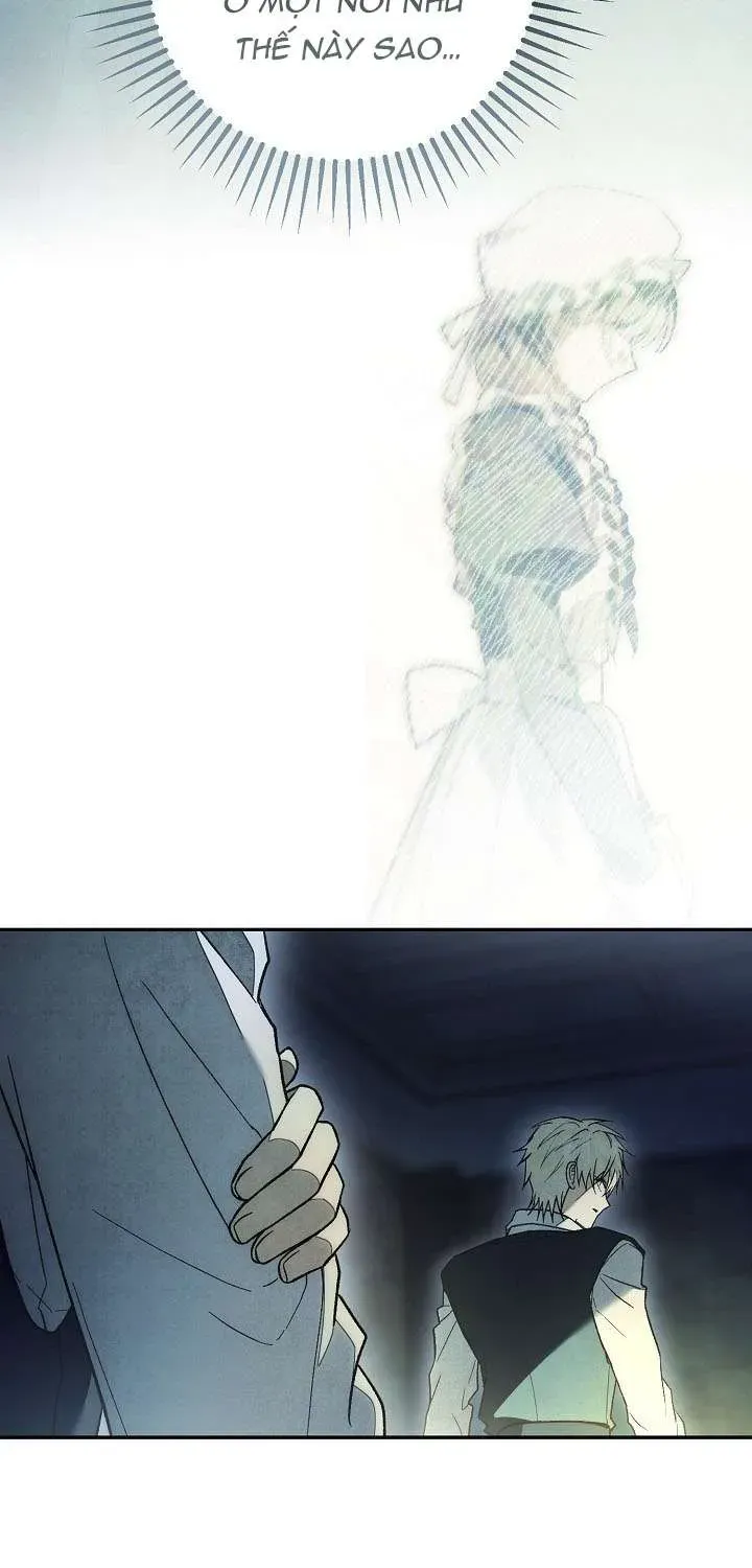 chao-mung-den-voi-dinh-thu-hoa-hong-86