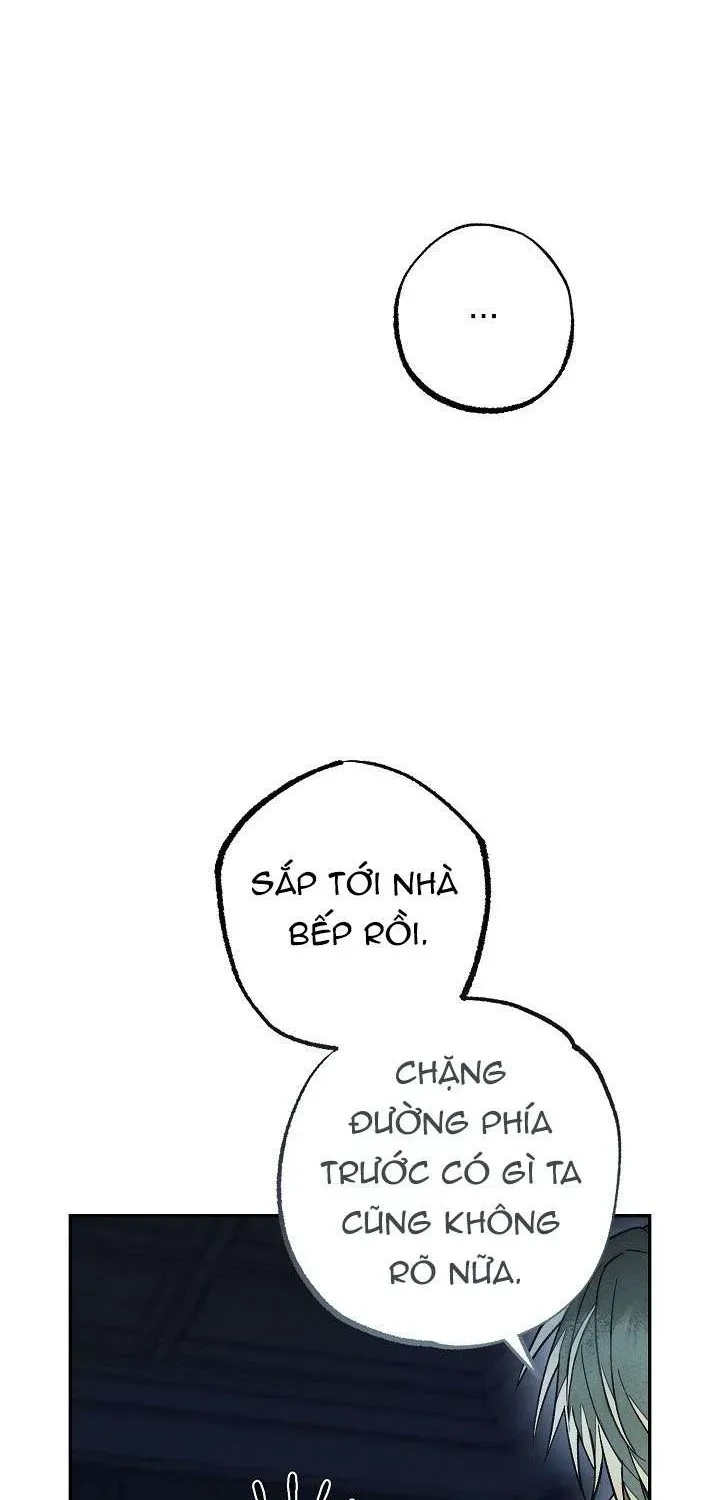 chao-mung-den-voi-dinh-thu-hoa-hong-87