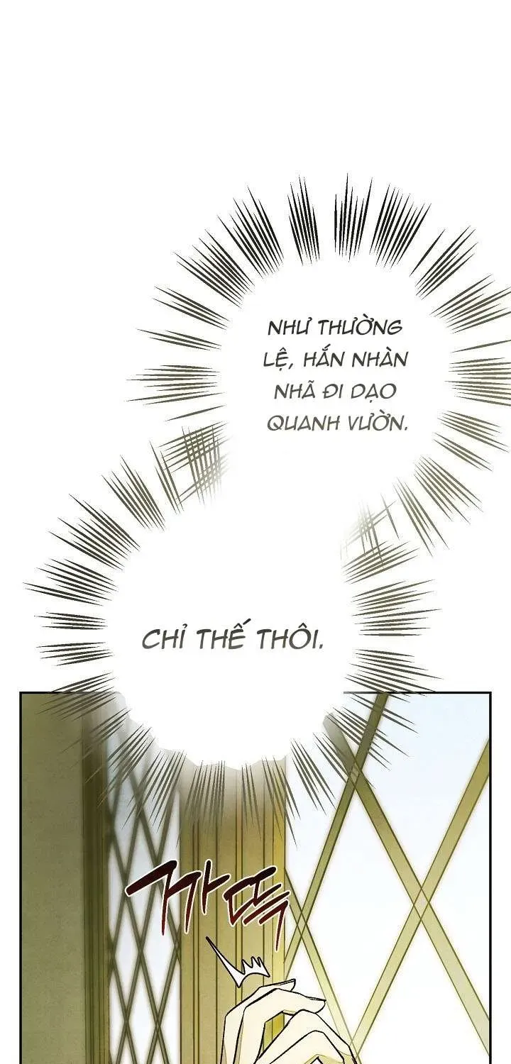 chao-mung-den-voi-dinh-thu-hoa-hong-9