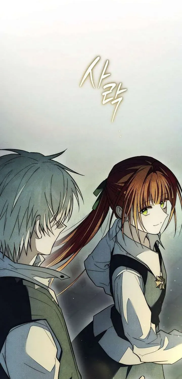 chao-mung-den-voi-dinh-thu-hoa-hong-91