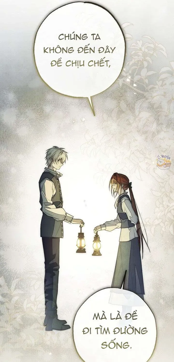 chao-mung-den-voi-dinh-thu-hoa-hong-93