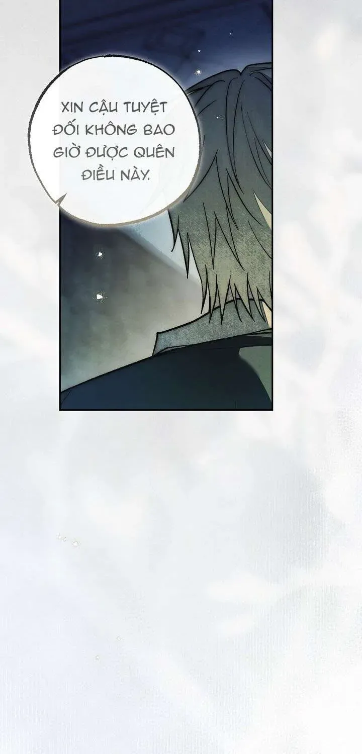 chao-mung-den-voi-dinh-thu-hoa-hong-95