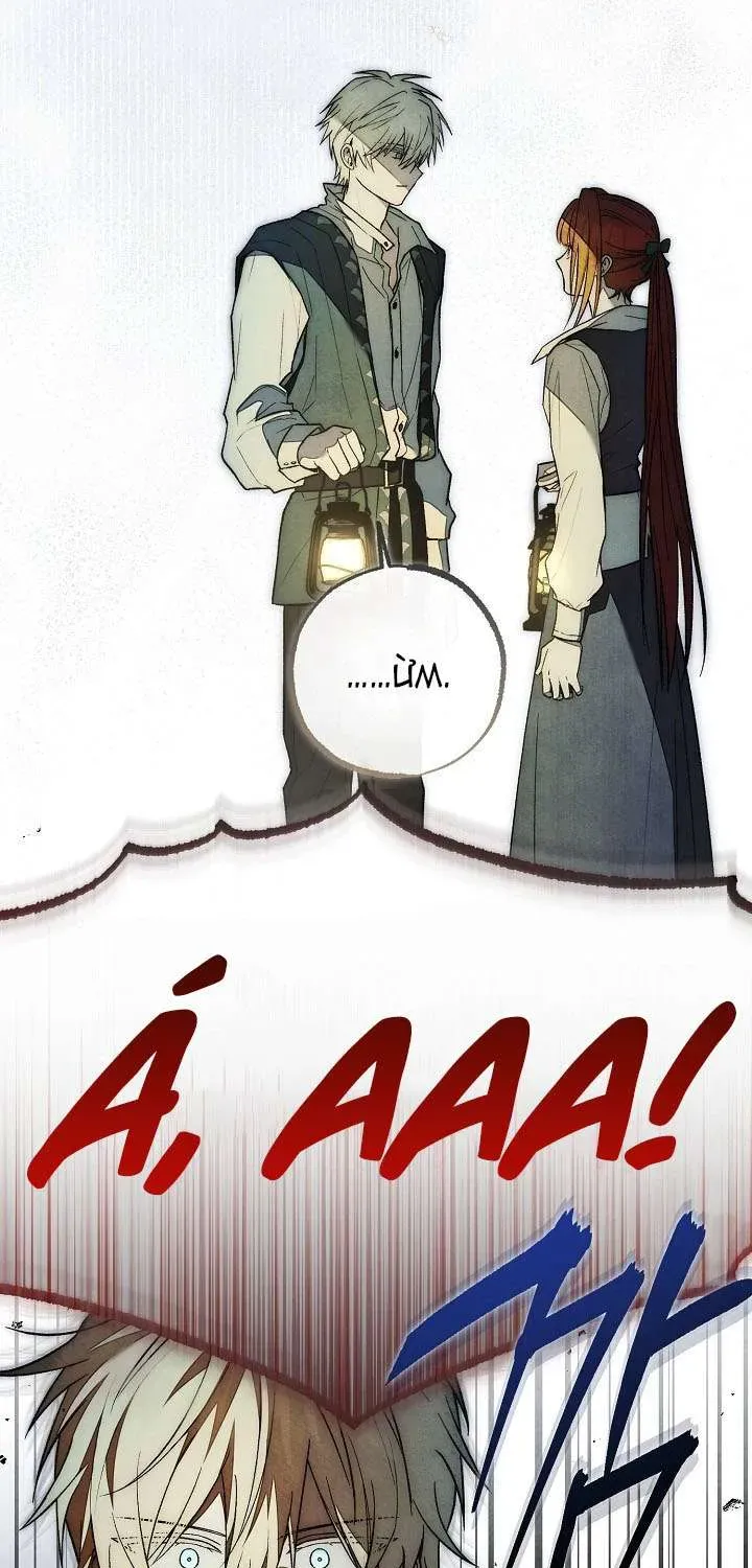 chao-mung-den-voi-dinh-thu-hoa-hong-96