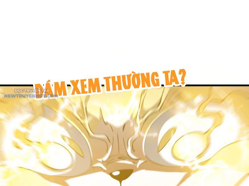 Mệnh Luân Chi Chủ! Làm Kẻ Biến Dị Giáng Xuống Nhân Gian Chap 14 - Next Chap 15
