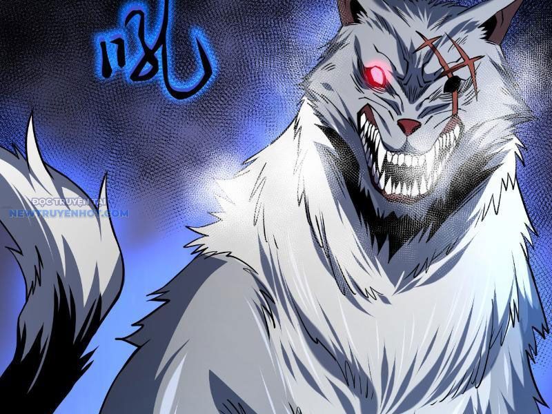 Mệnh Luân Chi Chủ! Làm Kẻ Biến Dị Giáng Xuống Nhân Gian Chap 15 - Next Chap 16