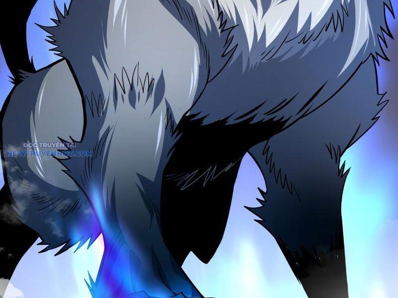 Mệnh Luân Chi Chủ! Làm Kẻ Biến Dị Giáng Xuống Nhân Gian Chap 15 - Next Chap 16