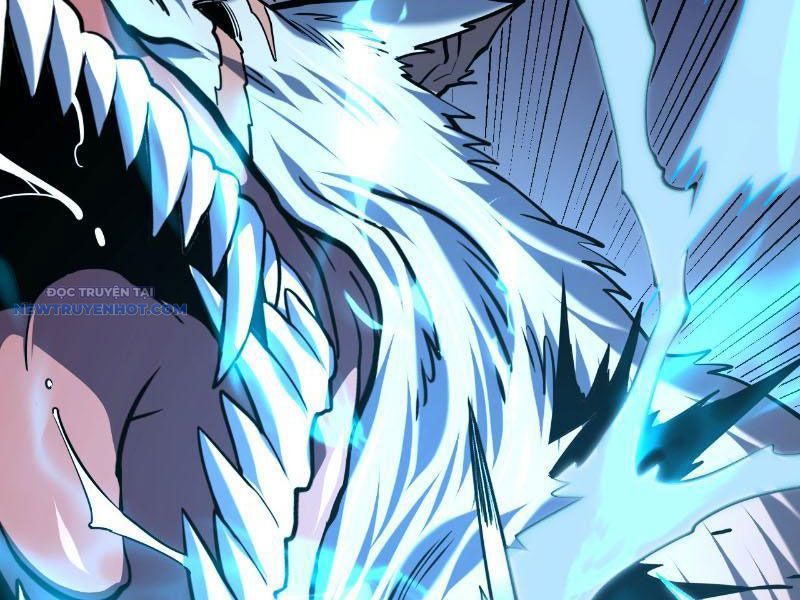 Mệnh Luân Chi Chủ! Làm Kẻ Biến Dị Giáng Xuống Nhân Gian Chap 16 - Next Chap 17