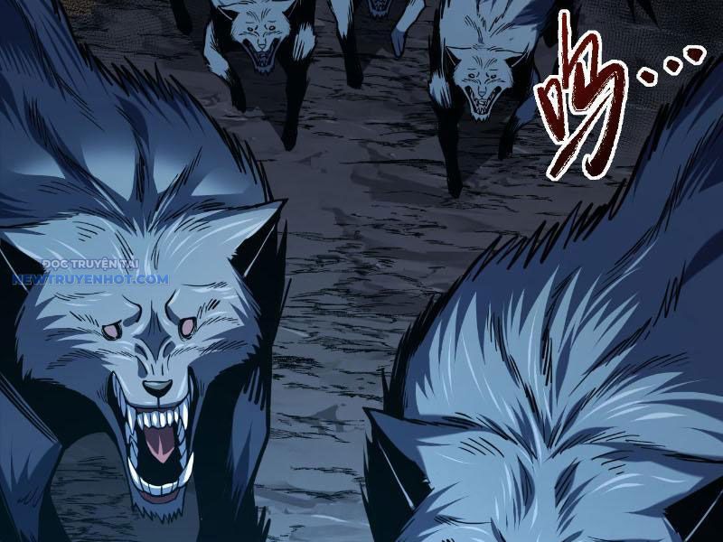 Mệnh Luân Chi Chủ! Làm Kẻ Biến Dị Giáng Xuống Nhân Gian Chap 16 - Next Chap 17