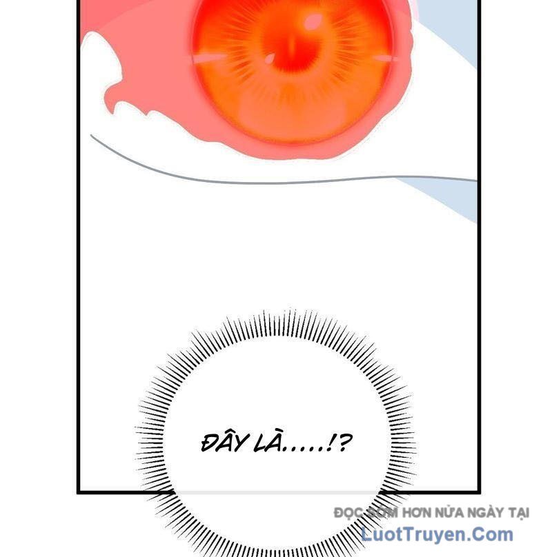 Mệnh Luân Chi Chủ! Làm Kẻ Biến Dị Giáng Xuống Nhân Gian Chap 167 - Next Chap 168