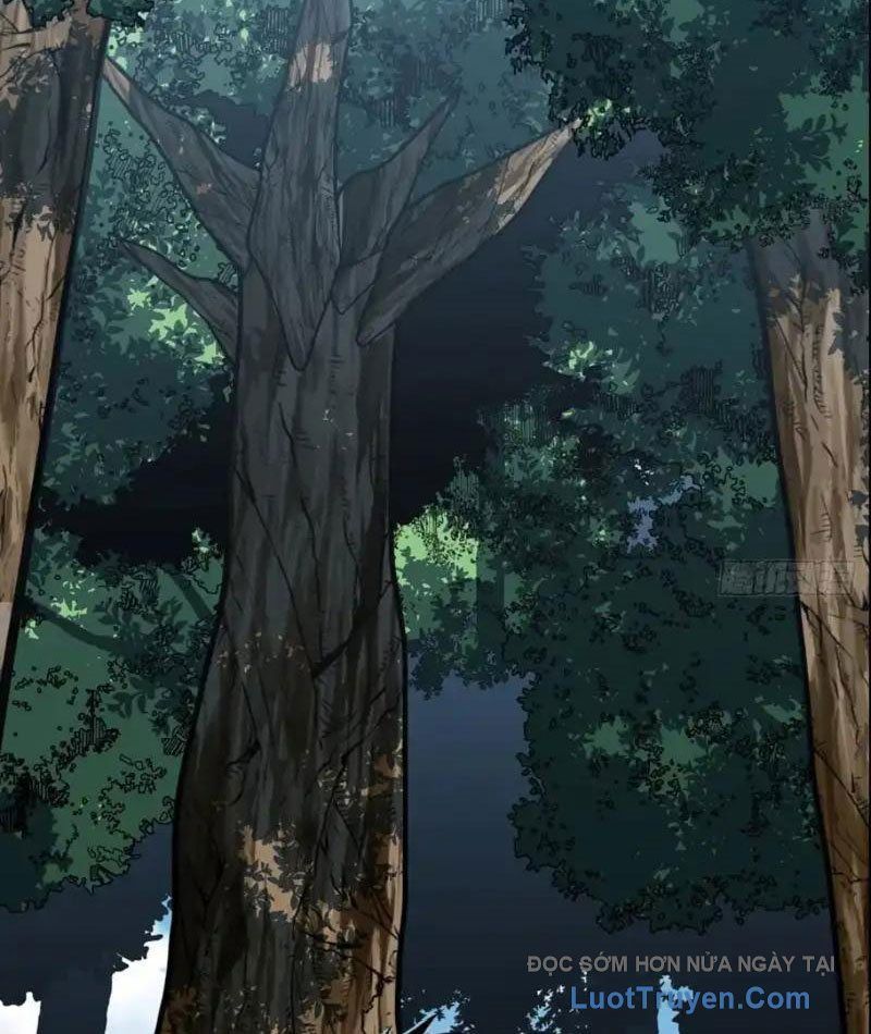 Mệnh Luân Chi Chủ! Làm Kẻ Biến Dị Giáng Xuống Nhân Gian Chap 182 - Next Chap 183