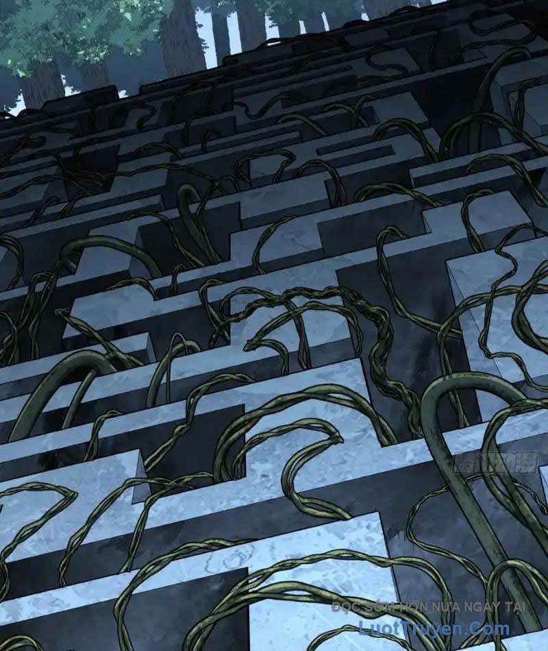 Mệnh Luân Chi Chủ! Làm Kẻ Biến Dị Giáng Xuống Nhân Gian Chap 182 - Next Chap 183