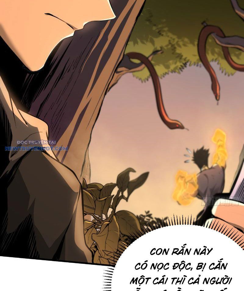 Mệnh Luân Chi Chủ! Làm Kẻ Biến Dị Giáng Xuống Nhân Gian Chap 2 - Next Chap 3