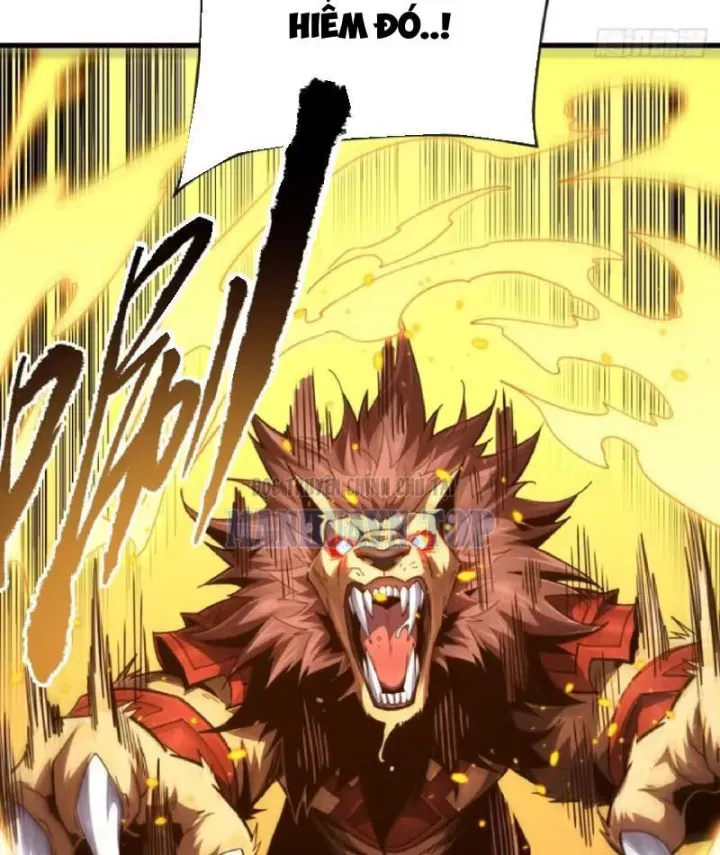 Mệnh Luân Chi Chủ! Làm Kẻ Biến Dị Giáng Xuống Nhân Gian Chap 205 - Next Chap 206