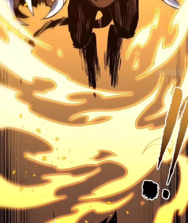 Mệnh Luân Chi Chủ! Làm Kẻ Biến Dị Giáng Xuống Nhân Gian Chap 205 - Next Chap 206