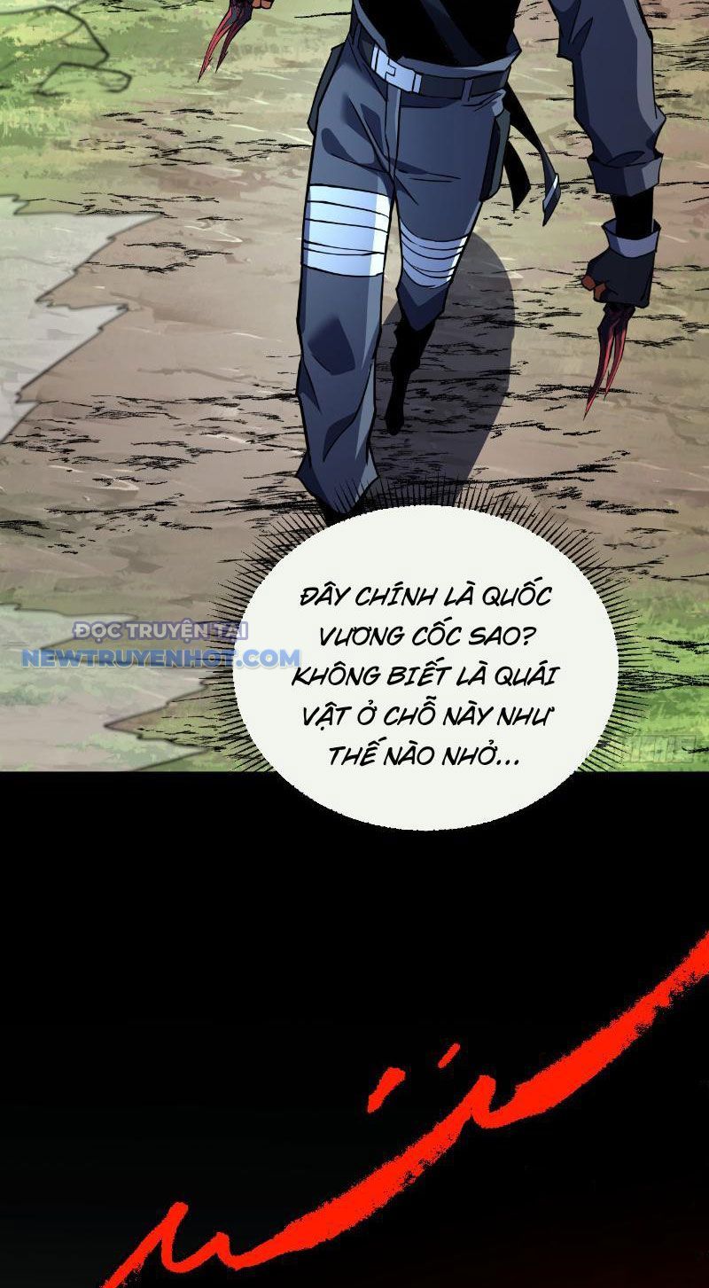 Mệnh Luân Chi Chủ! Làm Kẻ Biến Dị Giáng Xuống Nhân Gian Chap 23 - Next Chap 24