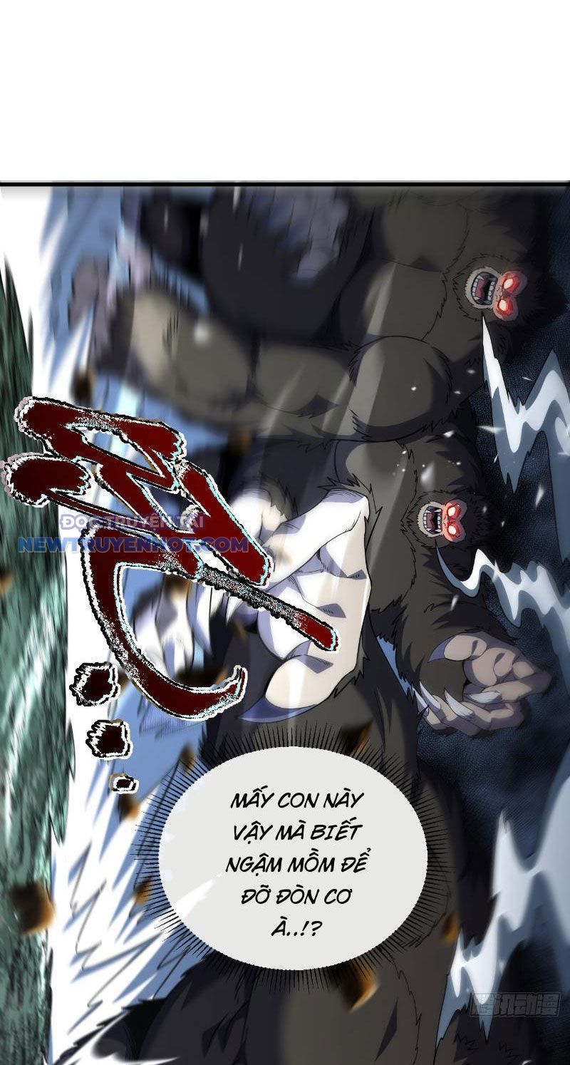 Mệnh Luân Chi Chủ! Làm Kẻ Biến Dị Giáng Xuống Nhân Gian Chap 28 - Next Chap 29