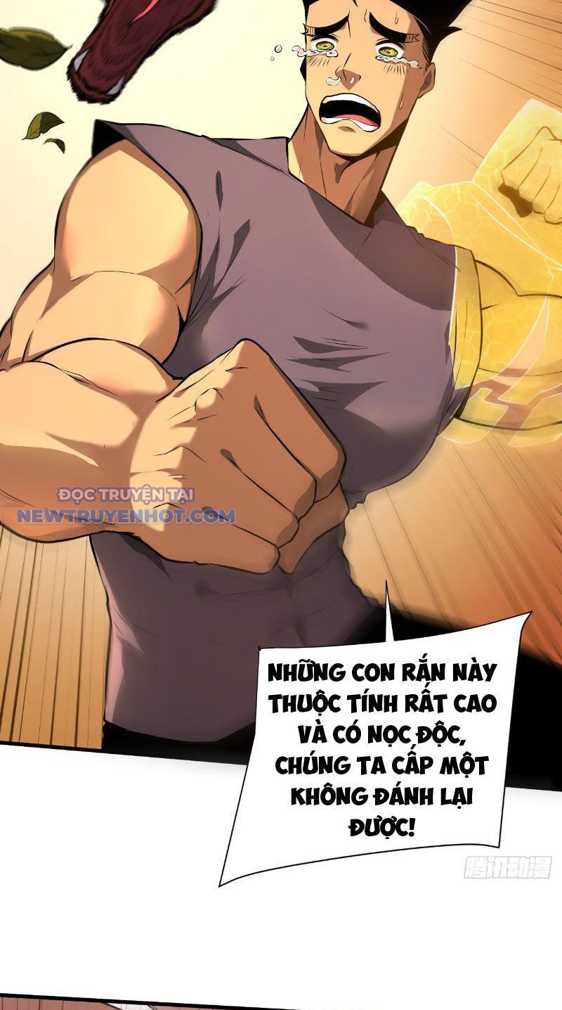 Mệnh Luân Chi Chủ! Làm Kẻ Biến Dị Giáng Xuống Nhân Gian Chap 3 - Next Chap 4