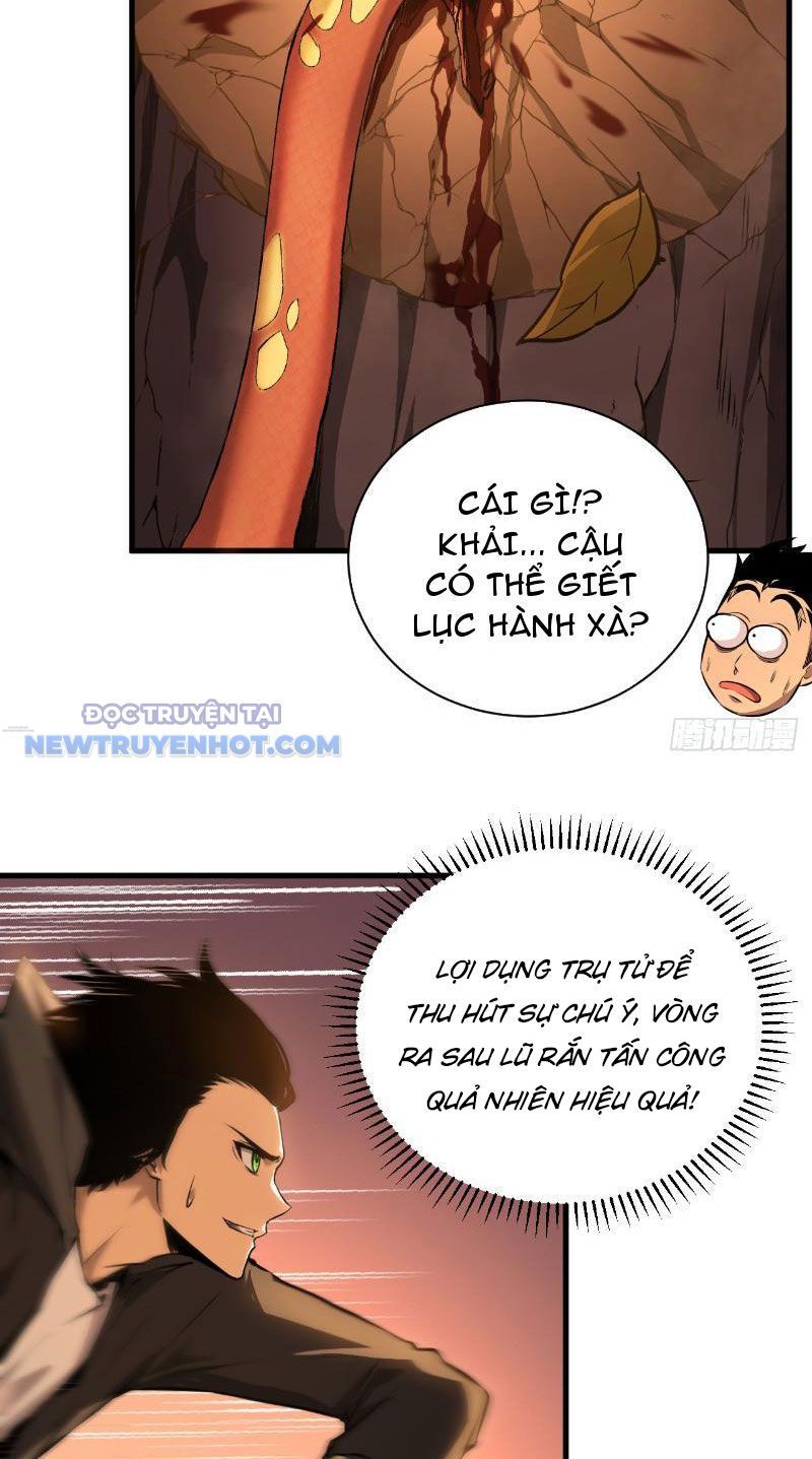 Mệnh Luân Chi Chủ! Làm Kẻ Biến Dị Giáng Xuống Nhân Gian Chap 3 - Next Chap 4