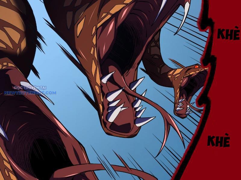 Mệnh Luân Chi Chủ! Làm Kẻ Biến Dị Giáng Xuống Nhân Gian Chap 6 - Next Chap 7