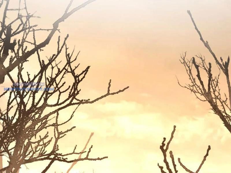 Mệnh Luân Chi Chủ! Làm Kẻ Biến Dị Giáng Xuống Nhân Gian Chap 70 - Next Chap 71