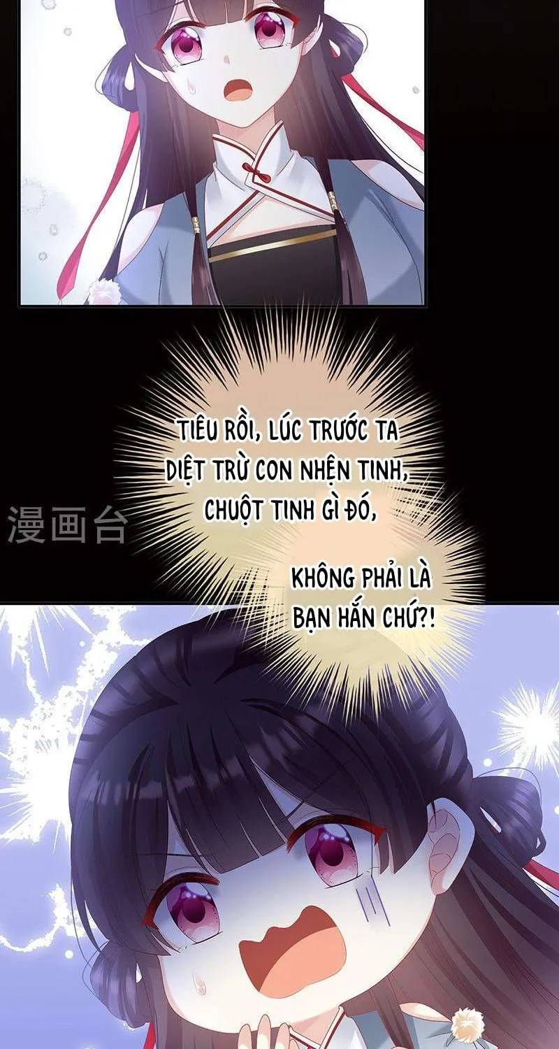 Kiều Phu Có Hỉ Chap 70 - Next Chap 69
