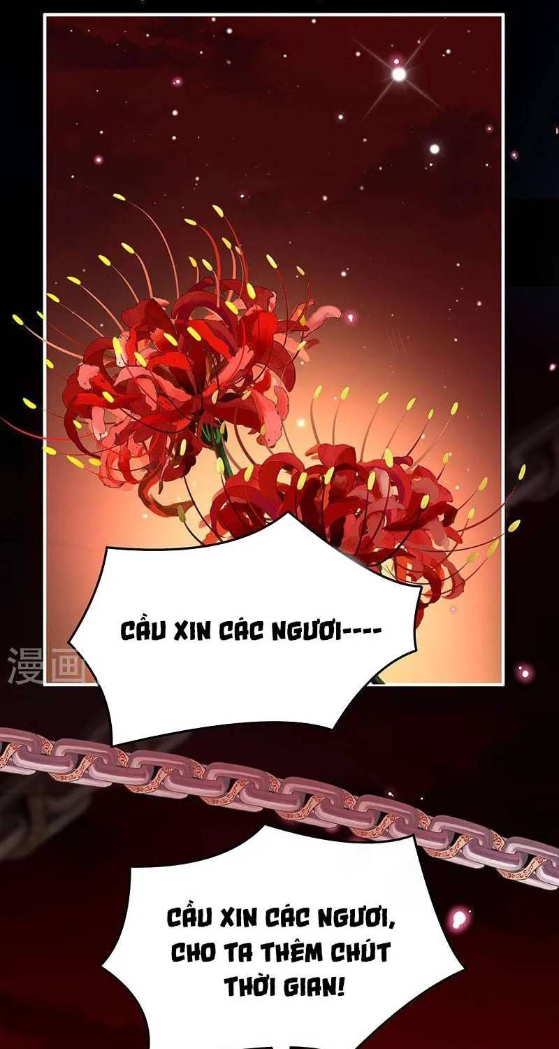 Kiều Phu Có Hỉ Chap 70 - Next Chap 69
