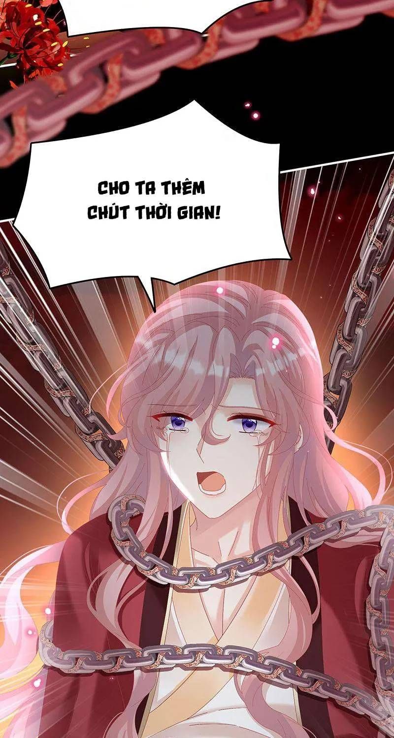 Kiều Phu Có Hỉ Chap 70 - Next Chap 69