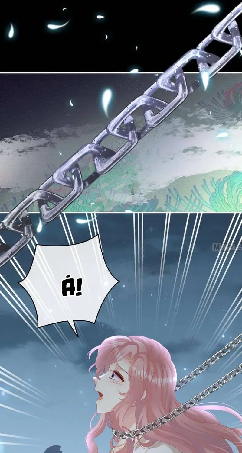 Kiều Phu Có Hỉ Chap 74 - Next Chap 73