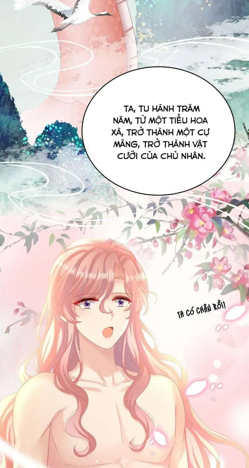 Kiều Phu Có Hỉ Chap 77 - Next Chap 76