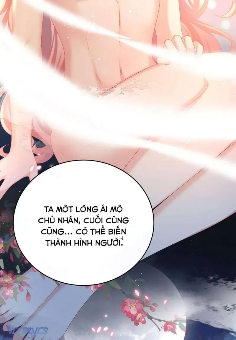 Kiều Phu Có Hỉ Chap 77 - Next Chap 76