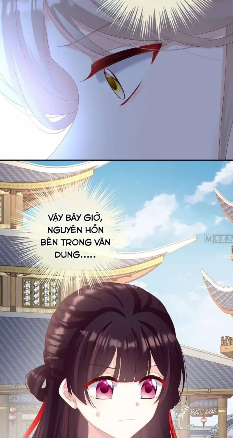 Kiều Phu Có Hỉ Chap 82 - Next Chap 81