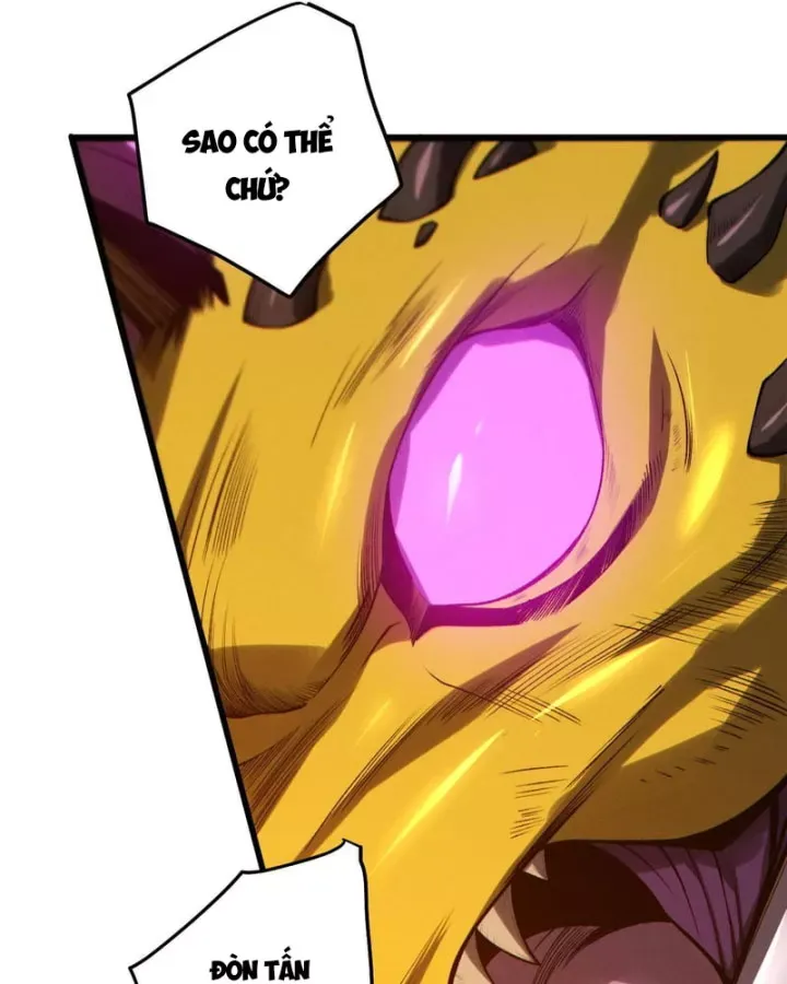 Thảm Họa Tử Linh Sư Chap 261 - Next Chap 260