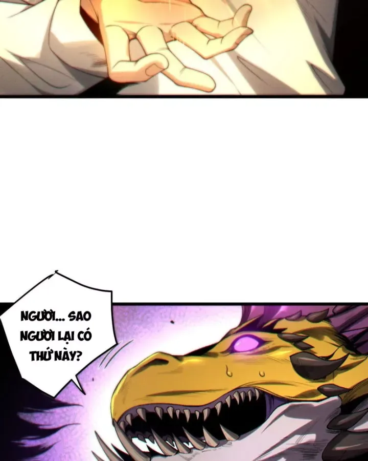 Thảm Họa Tử Linh Sư Chap 261 - Next Chap 260