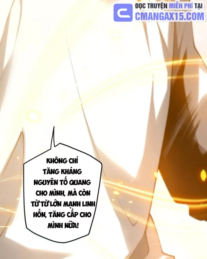 Thảm Họa Tử Linh Sư Chap 261 - Next Chap 260