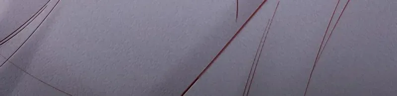 Kế Hoạch Tự Dưỡng Cuồng Khuyển Chap 104 - Next Chap 103