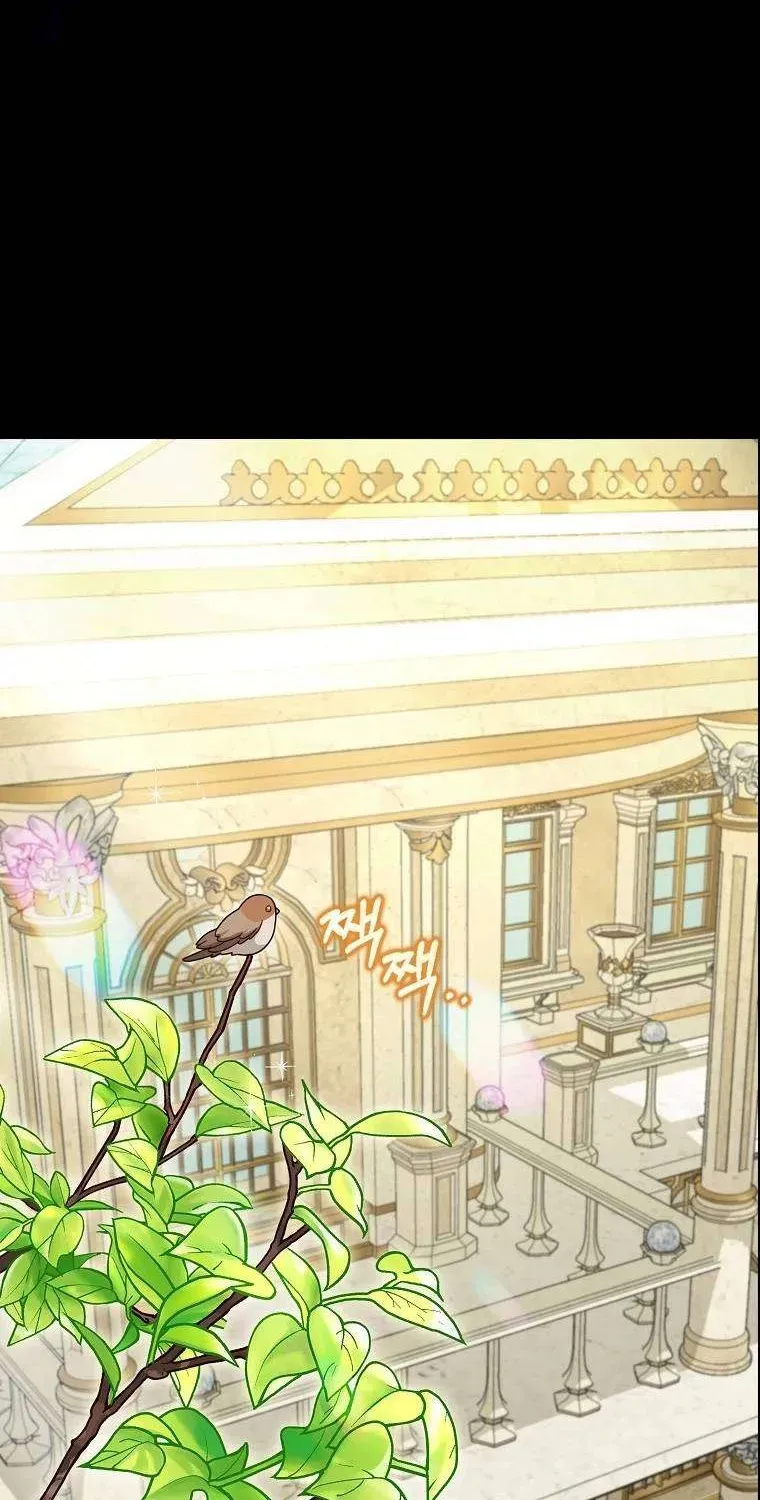  Ss2  Bé Con Báo Tuyết Của Gia Tộc Báo Đen Chap 15 - Next Chap 16