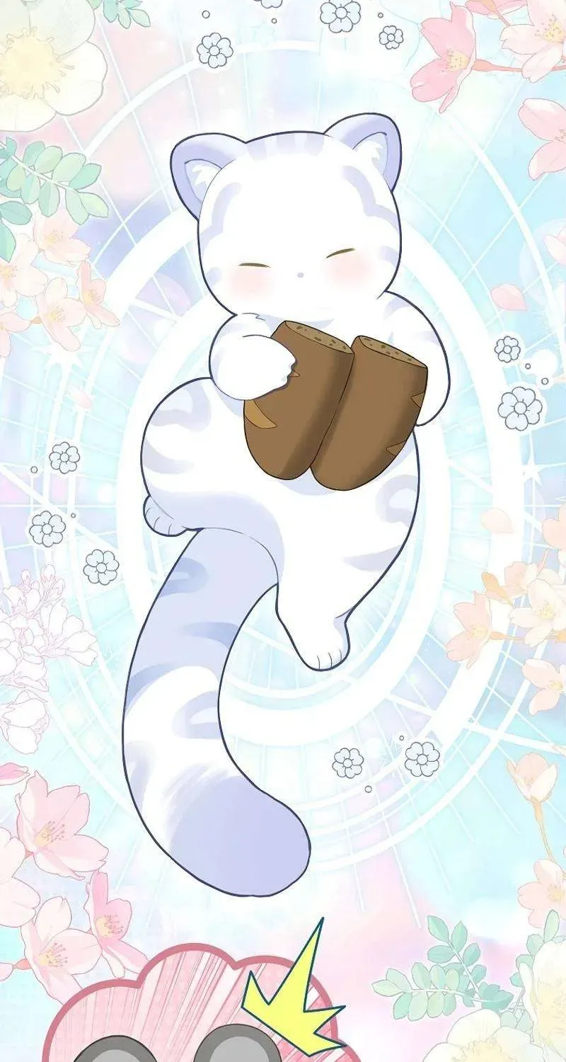  Ss2  Bé Con Báo Tuyết Của Gia Tộc Báo Đen Chap 2 - Next Chap 3